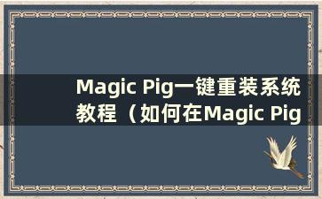 Magic Pig一键重装系统教程（如何在Magic Pig上安装系统）